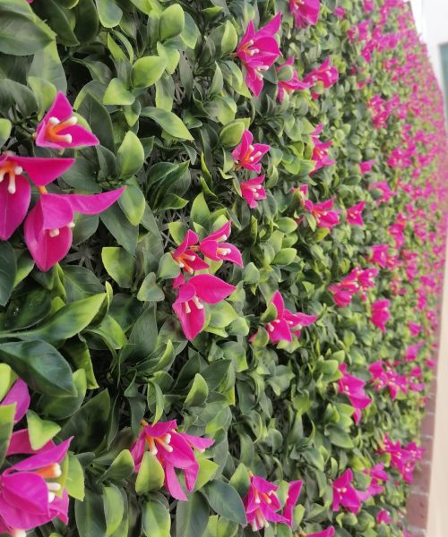 Muro verde natural instalado por BioEstilo en CDMX