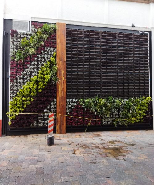 Diseño de muro verde natural interior por BioEstilo