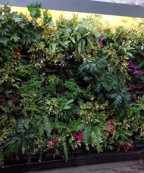 Muro verde natural decorativo para exterior en CDMX