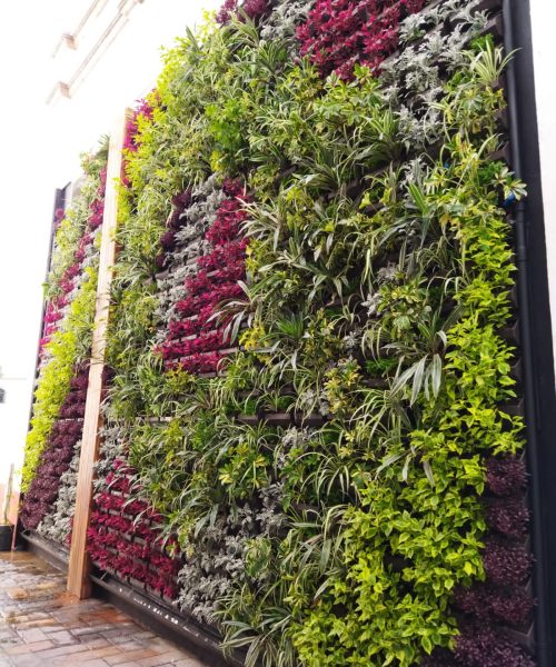 Muro verde natural con estilo único