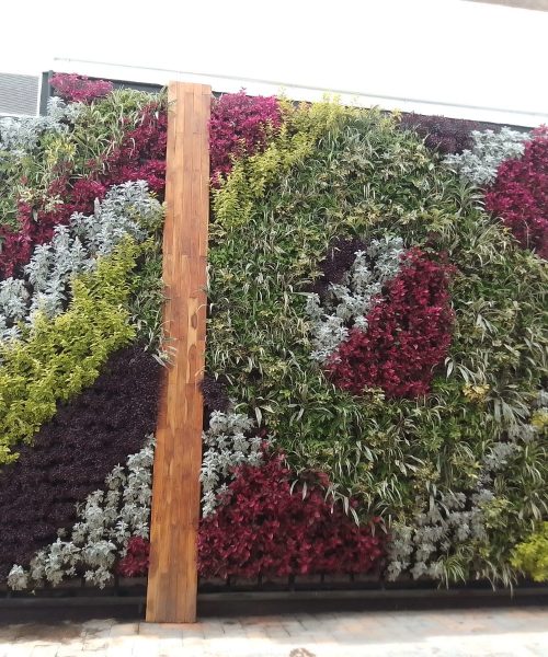 Muro verde natural para empresa