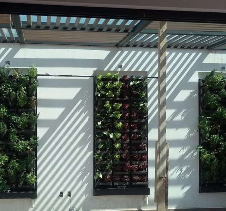 Muro verde natural decorativo para exterior en CDMX