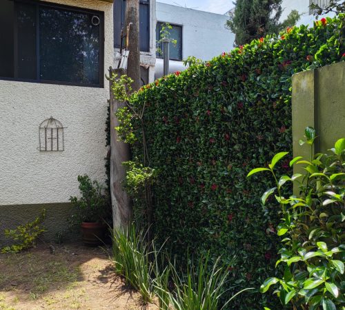 Muro verde artificial decorativo para hogar u oficina