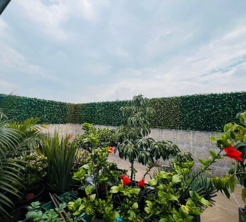 Instalación profesional de muro verde artificial